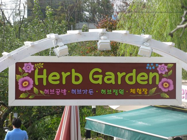 11/2...<br />京義道・坡州（パジュ）プロバンス...<br />ハーブガーデン...