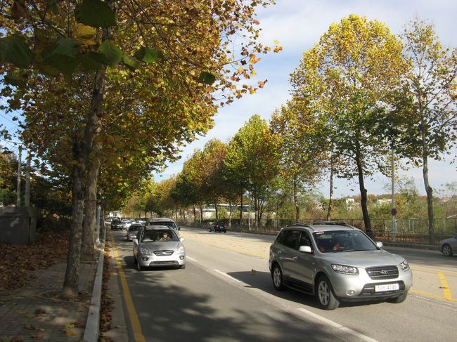 11/2...<br />京義道・坡州（パジュ）...<br />ソウルに帰ります...<br />バスを待ちながら...