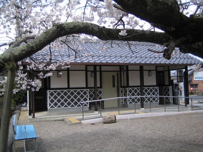 早咲きの桜に誘われて 藤栄神社 水口城跡 甲賀 滋賀県 の旅行記 ブログ By ヌサドゥアさん フォートラベル