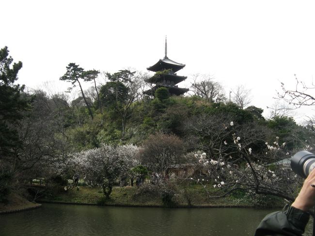 2/15...<br />横浜　三渓園...