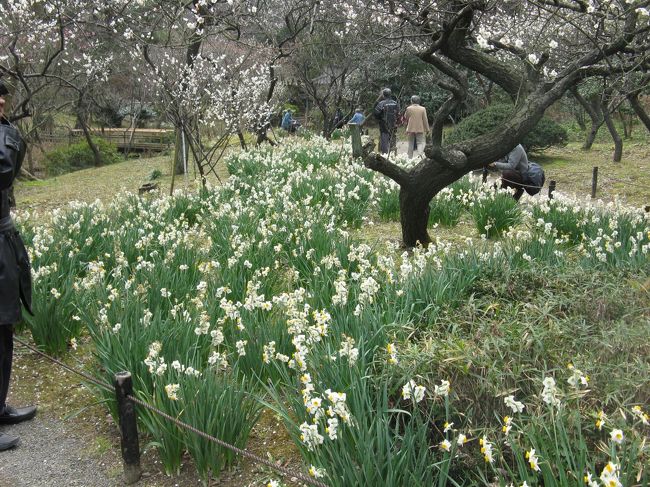 2/15...<br />横浜　三渓園...