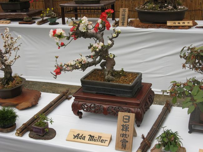 2/15...<br />横浜　三渓園...