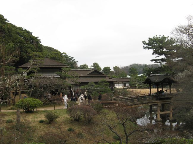 2/15...<br />横浜　三渓園...