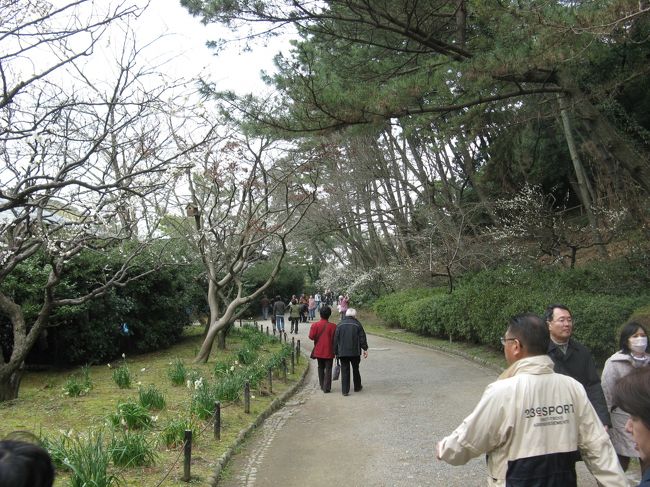2/15...<br />横浜　三渓園...