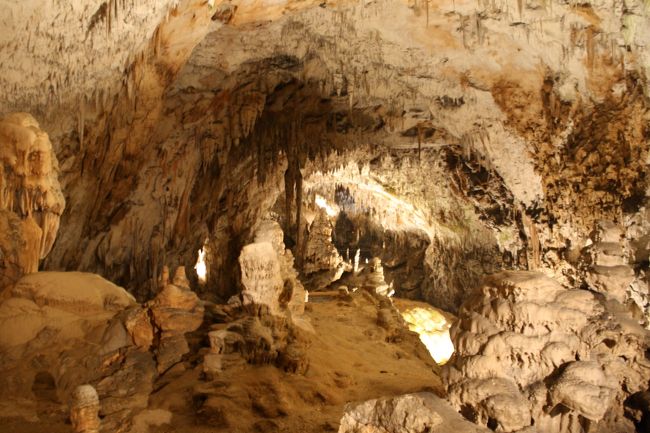 内部はまさに異世界<br />