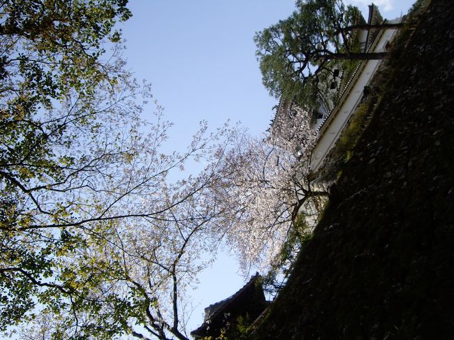 カメラマンの隣で同じアングルで撮ってみた。よくわからない写真になった。