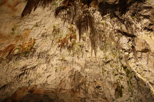 スパゲティと呼ばれる鍾乳石<br /><br /><br />ツアーは一時間程で終了<br />バスの本数が少なく帰りのバスまで時間を持て余しました<br /><br />