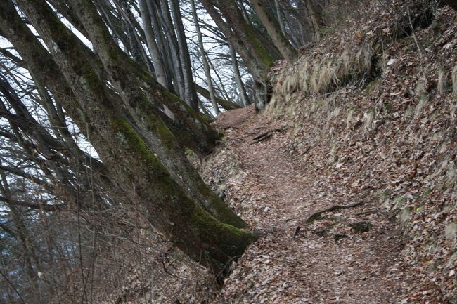 ブレッド城へ続く登山道はいくつかのルートがあり、私が登ったのはどうやら一番急なルートのよう･･･<br /><br />