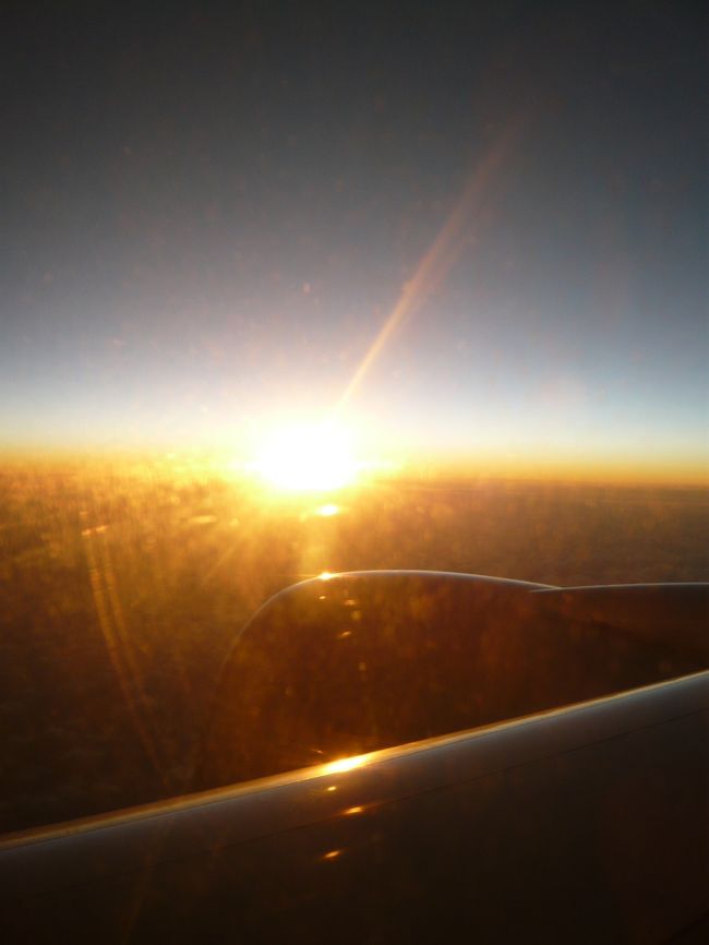 新年あけましておめでとうございます。<br /><br />・・・・・・・<br /><br />・・・・・・・<br /><br />って、もう４月なんだけど。(Ｔ＿Ｔ）<br /><br /><br /><br /><br />アンコールワットは行きたい場所だったが、<br />勢いで行ってしまった。<br /><br /><br />今回の旅は、アンコールワットを見れたから良かったというより、刺激的な『カンボジア』を感じた事、そして楽しいメンバーに逢えて一緒に行動出来た事が嬉しく思う。<br /><br />こんな感じの旅もいいもんだよ。<br />行って良かった。凄く楽しかったです。(*ﾟ▽ﾟ)ﾉ<br /><br /><br />　　　　<br /><br />　　　　　------------END-----------