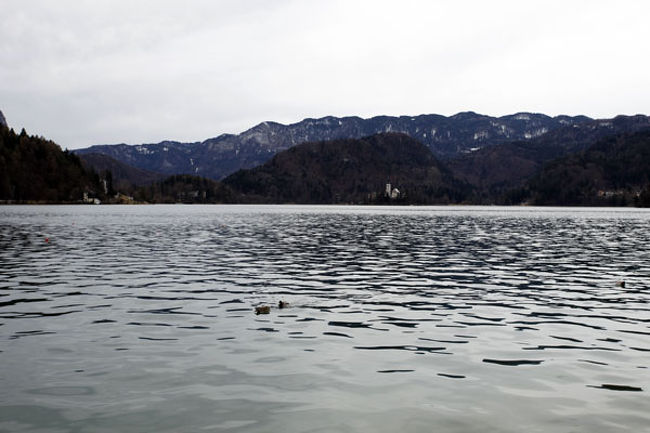 ブレッド湖。<br />ほほ、これ撮ったときに望遠持ってこなかった自分の愚かさをのろいたくなった。