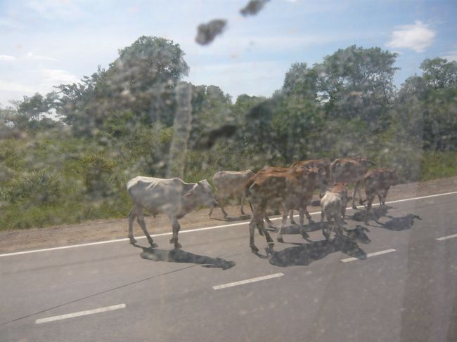 再び、乗車。<br /><br />やっと舗装路のシソポンに来た。<br /><br />『アジア最強の悪路』『ダンシングロード』<br />は終わったようだ。<br /><br />あとは国境まで１時間半くらいかな。