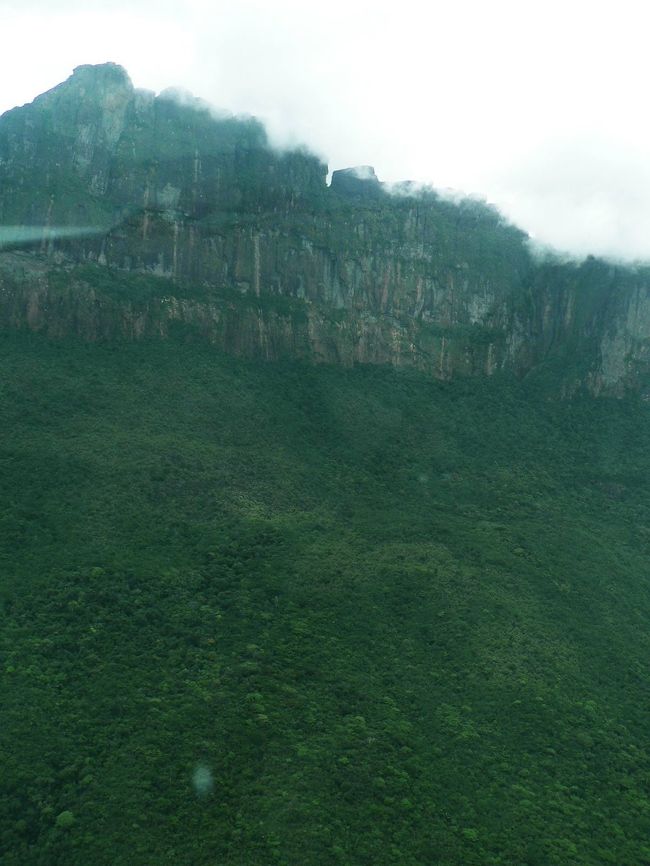 カナイマからギアナ高地に向かう飛行機から見る光景。<br /><br />