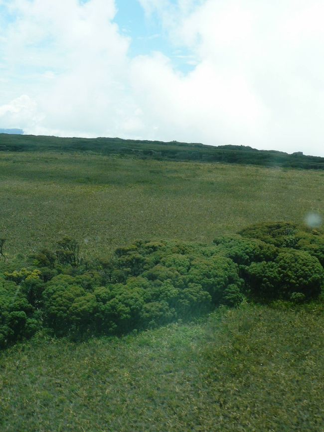 ギアナ高地の上部はテーブル状の平面になっている。牧場のようだ。