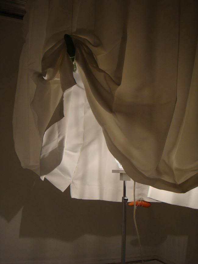 野菜のチラリズム。<br /><br />すそに<br />にんじん・なす・きゅうり<br />ぶら下がっています。<br /><br />アートの世界は深い･･･。<br />