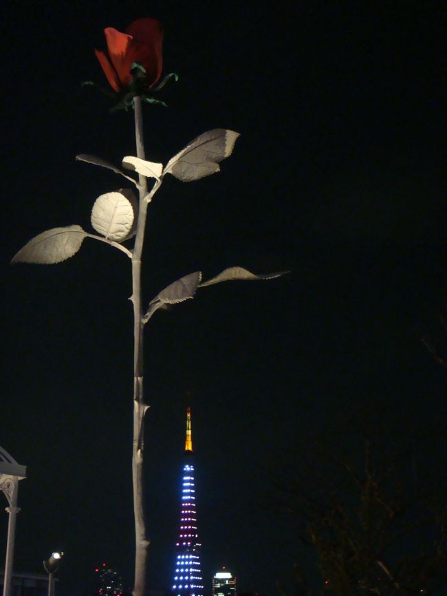 バラと東京タワー。<br /><br />なんと、先日のWBC優勝祝いで、<br />東京タワーもJAPANカラーに!!<br /><br />日本国旗カラー、いいじゃん!!