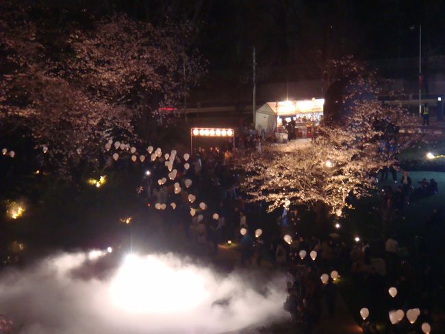 なんて幻想的な世界。<br /><br />夜桜と霧アート、<br />そして光る風船。<br /><br />まさにアートナイト!!<br />