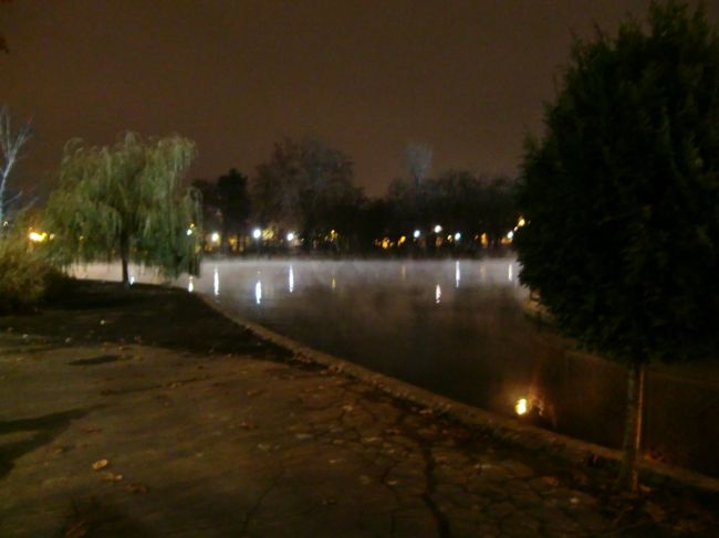 ハンガリーが温泉の国だと実感した瞬間です。<br />白っぽく見えるのは湯気。<br /><br />池の水を触ってみると温かったです。