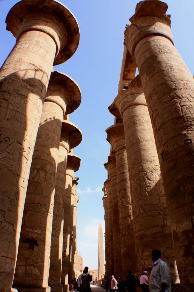 <br /><br />で、でかー 