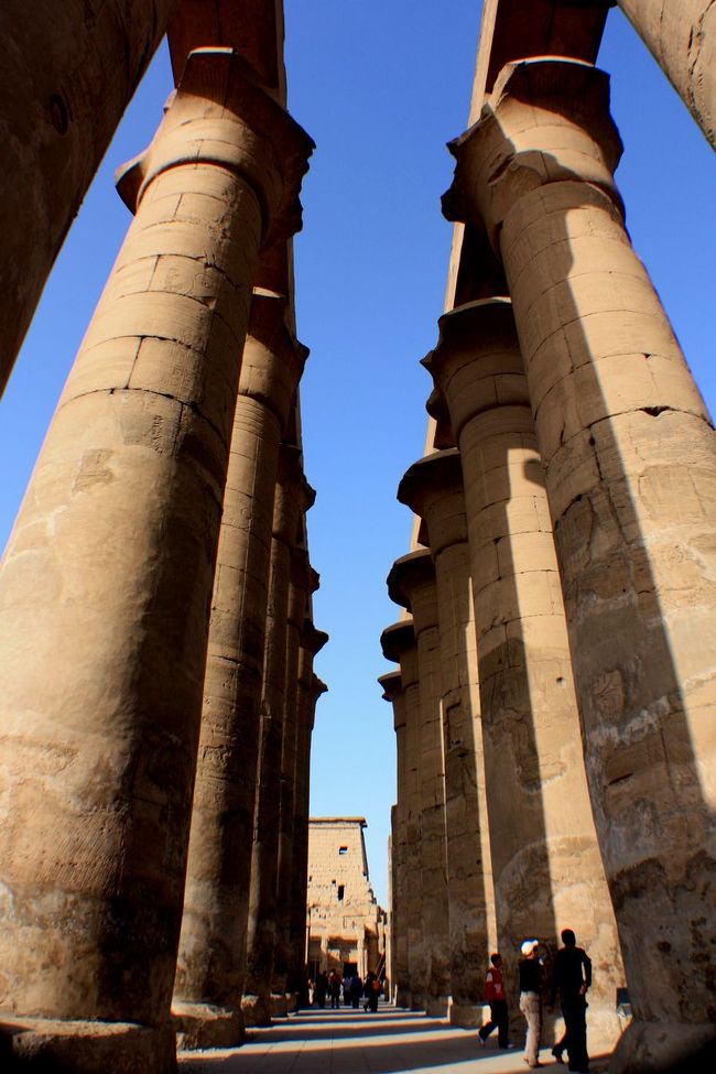 <br /><br />で、でかー