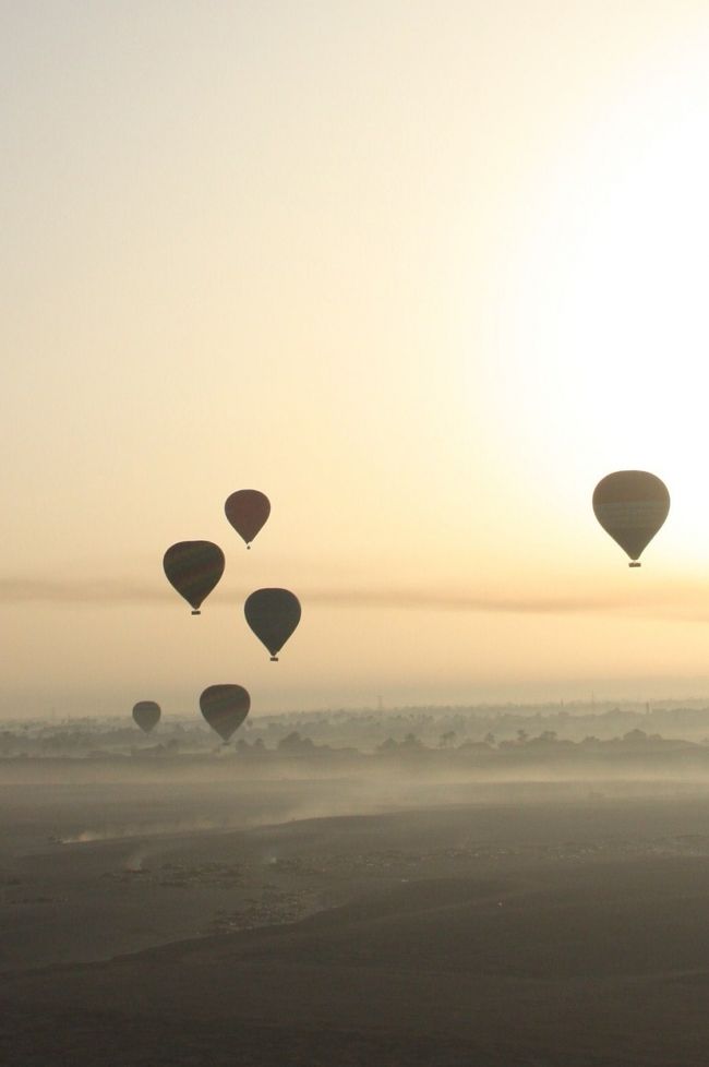 <br /><br />飛んでいたい。