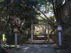 唐沢山神社の参道を登っていきます。