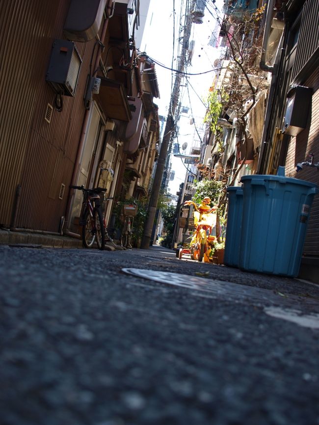 谷中は小さな路地がいっぱい。<br /><br />その先にはなにがあるのか・・・<br />ついつい覗いてしまいます（笑）