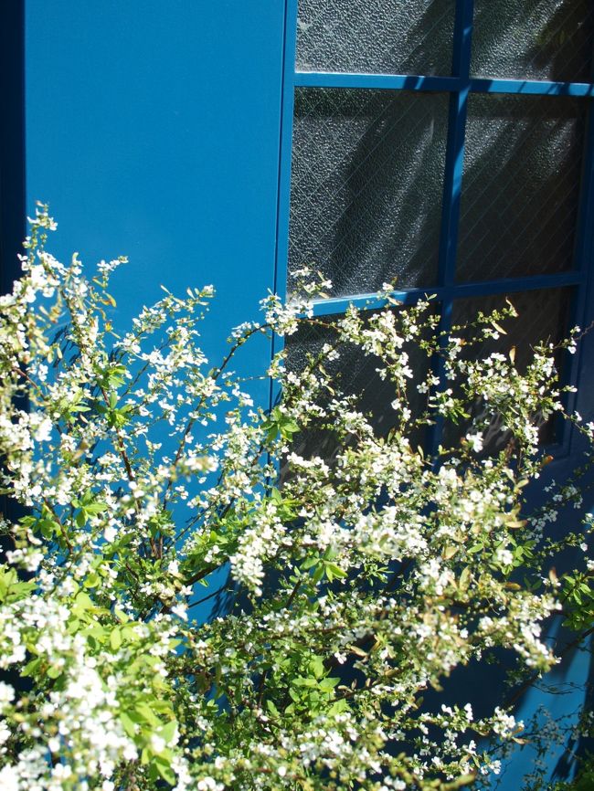 とある民家の玄関。<br /><br />ヨーロッパ風のブルーが素敵です。