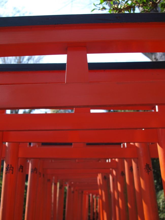 朱色が鮮やか。