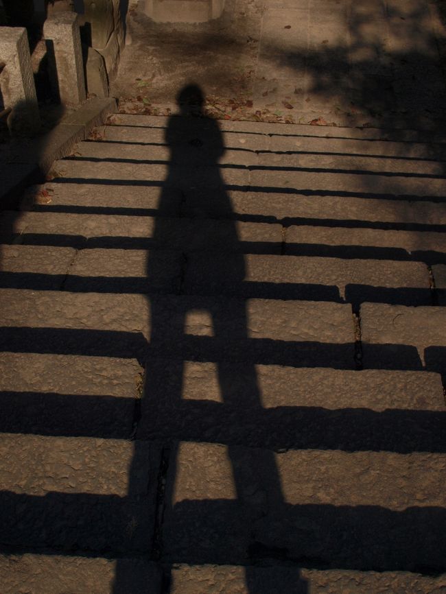 やっぱり谷根千、大好きな街です♪