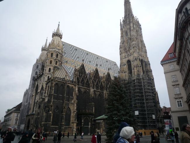 シュテファン寺院<br /><br />ここにもツリーです
