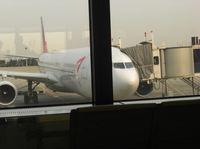 これが帰りの飛行機。<br /><br />韓国、さらば〜(T_T)/~~~<br /><br />〜〜〜〜〜〜〜〜〜〜〜〜〜〜〜〜〜〜〜〜〜〜〜〜<br />第?日目　　終<br />