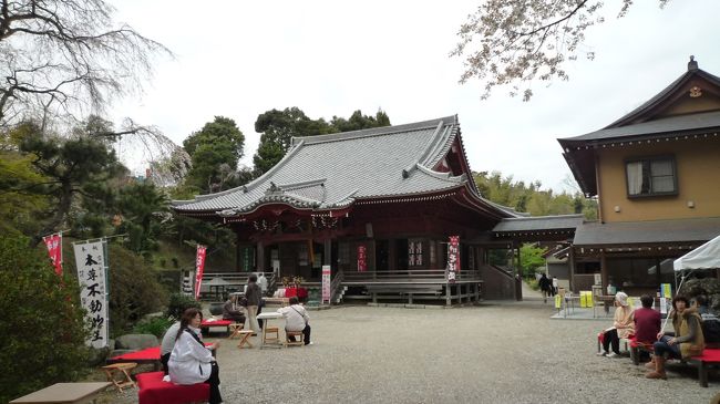 　もしかして、お団子？いけちゃいますか？