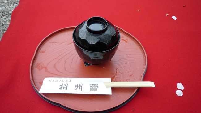 　散った桜の花びらも、いとおかし。