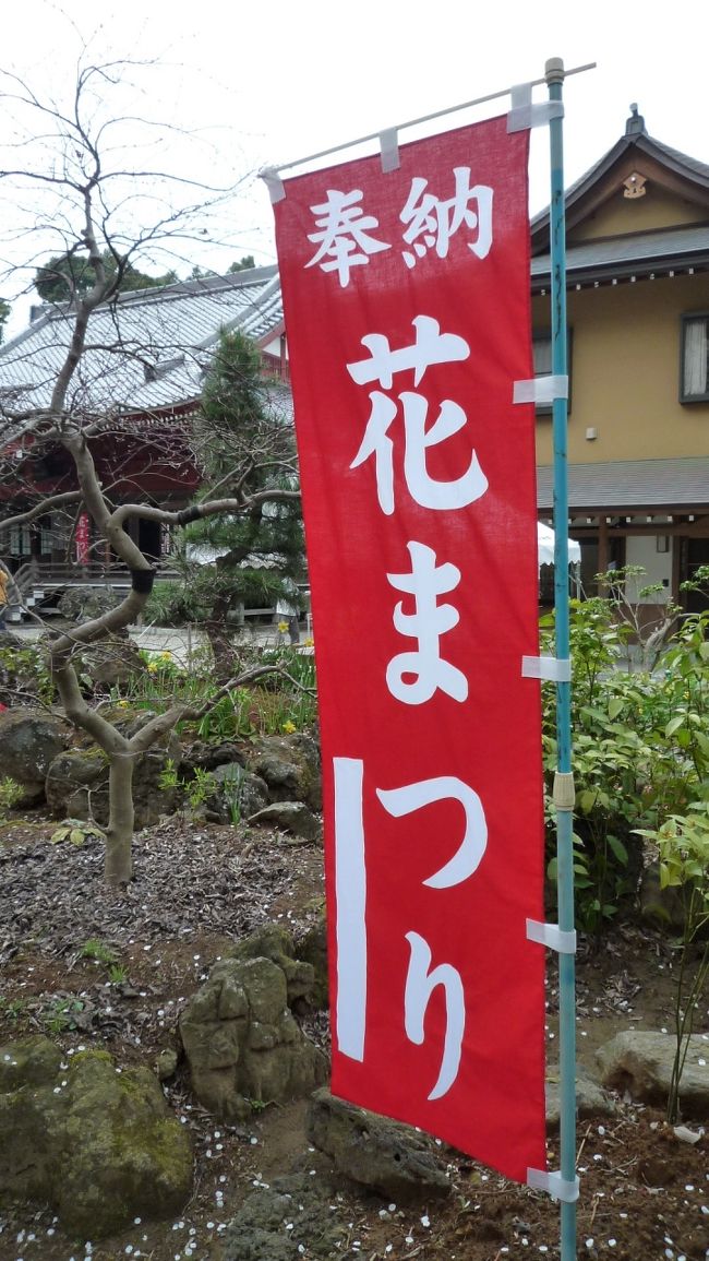 　奉納　花まつり。　ぜひ。