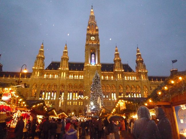 市庁舎前　<br /><br />イルミネーション