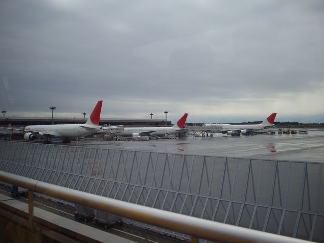 今回乗る飛行機ではありませんが、搭乗口へ向かう途中に撮影。