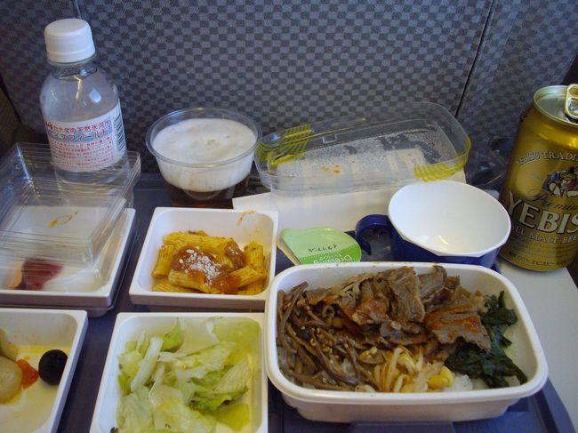 もう一方の機内食カルビー丼<br />まずまずでした。