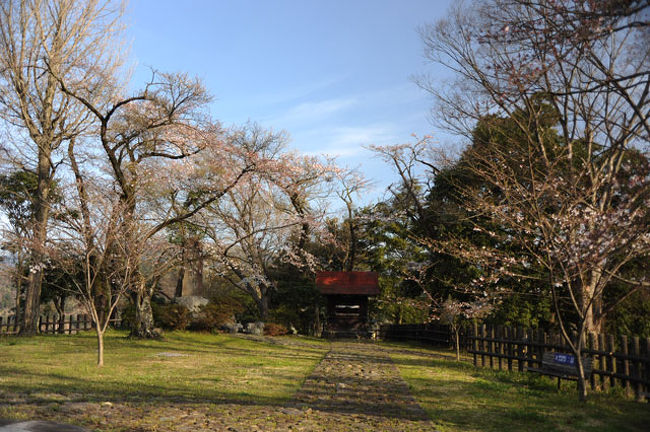 リベンジ 山北での桜と電車 河村城址歴史公園 秦野 松田 足柄 神奈川県 の旅行記 ブログ By てんとう虫さん フォートラベル リベンジ 山北での桜と電車 河村城址歴史公園 秦野 松田 足柄 神奈川県 の旅行記 ブログ By てんとう虫さん フォートラベル