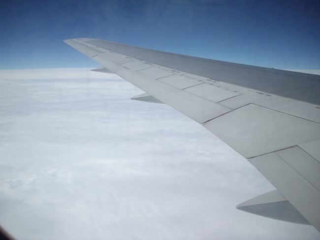 12:55発なので、12：30になったので搭乗口へＢ７へ向かいます。着いてみたらなんと香港行きになってます。<br /><br />もう一度確認するとＤ７じゃありませんか。<br />この時４０分すぎ。Ｄを探して走りました。<br />走っていたら免税店のお兄さんがでてきて、ゲートＮｏＤはどこといったら向こうだと、ＢからＤは、端から端です。<br /><br />アナウンスでＪＬ６４６便のお客様と放送されてますが、もう足が動きません。息子に先にいって待っていてくれるように言ってくれと頼んで、歩き、また走りを繰り返しＤ７へやっと着きました。（２〜３分前でした）<br /><br />搭乗口で息切れました。何とかセーフです。まな板の鯉状態。<br /><br />飛行機の中はまだ荷物をあげたりしてましたので、私達が遅れそうな事はわかっていないようでした。<br />（よかった）他の人達に迷惑をかけたのではないかと思いながらしかし、足は動きません。<br /><br />よく確認しなければいけませんね！<br />でも楽しかったです。今回はいろいろな所で、台湾の方々に助けられ、お世話になりました。<br /><br />台湾の方々はやさしいですね。<br />これからも個人手配でツアーにはない楽しみを味わって行きたいと思いました。<br /><br />この次海外旅行は、8月駄馬の会で韓国予定してます<br />個人手配でがんばって行こうと思います。