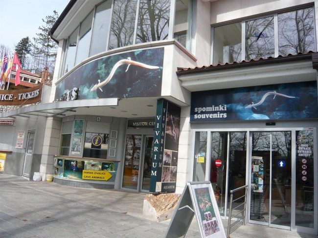 類人魚はこの中で見る事ができます。<br />もともとは鍾乳洞に住んでいましたが、とてもデリケートで　カメラのフラッシュ等で弱ってしまう為、この中の水槽で保護されています。<br /><br />有料。<br /><br />