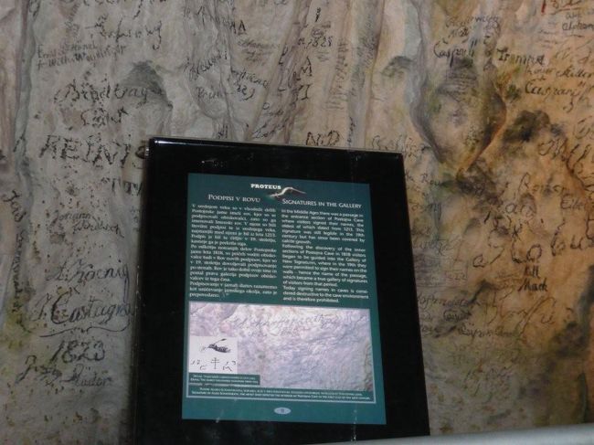 悲しい事に、こんな落書きが・・・