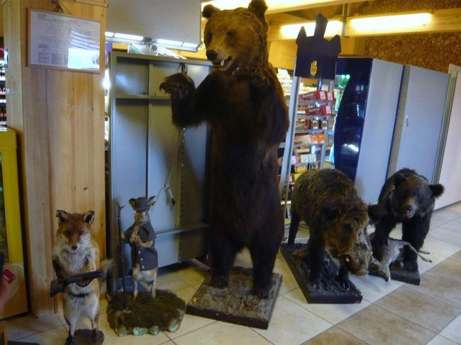 このお店にあった　剥製達。。。