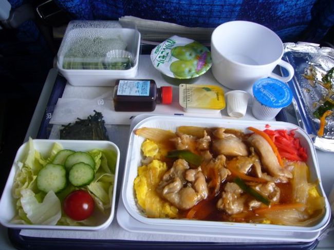 機内食はまずまず。