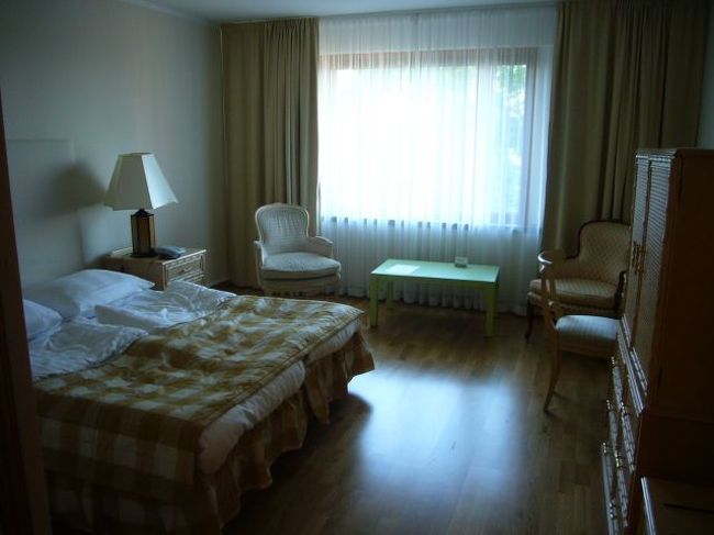 現地スタッフにとってもらったホテルは。。。<br />豪華絢爛。<br />とまではいかないかもしれませんが、<br />かなりの高級ホテル。<br />スカンジナビア航空スタッフも泊まってます。