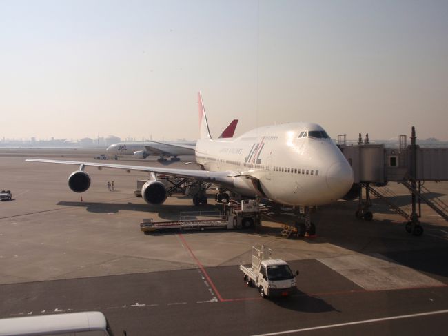 １２／３０、羽田空港から１１：２５発のＪＬ９１３便で那覇空港に向けて出発です。この風景はつい１０日前にも撮影したような・・・