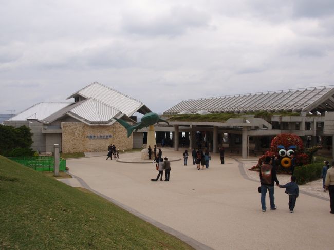 美ら海水族館に到着！大晦日にも関わらず結構な人だかりでした。