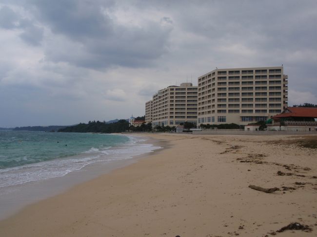 お天気が少し良かったのでビーチをのんびり散歩しようとしましたが、風がとんでもなく強い・・・耐え切れず早々に退散しました。。。