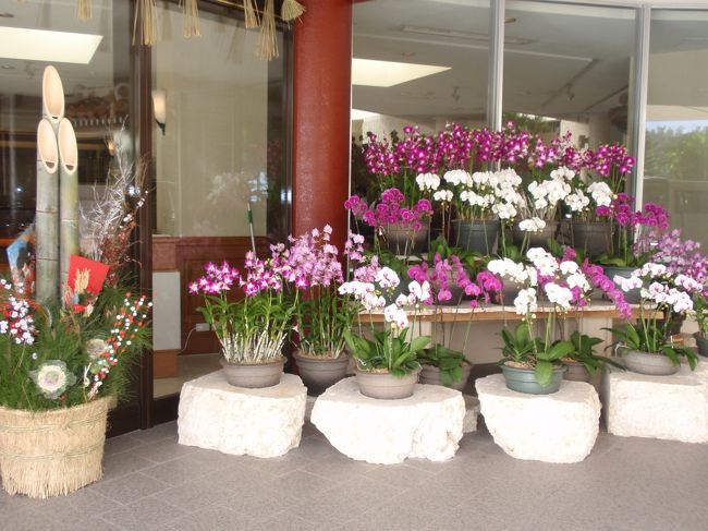 リザンシーパークの滞在も今日までで那覇に戻ります。ホテルの玄関にはたくさんの蘭が飾られていました。