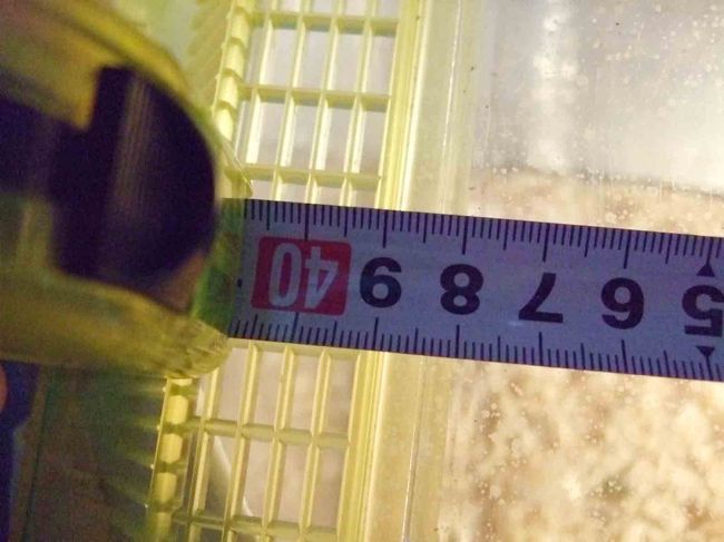 　ケースの幅を量ると40ｃｍ。