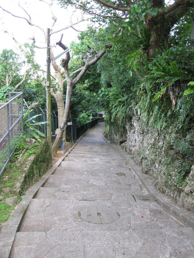 涼しげな石畳の坂道はほかに通行人もいません<br />